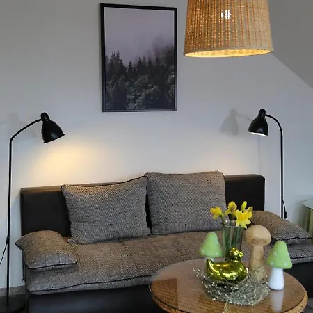 Apartment Goldener Hahn *