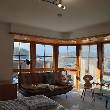 Goldener Hahn Mit Infrarot Sauna, Panorama Aussicht & Pool, Fruehstuecksservice Im