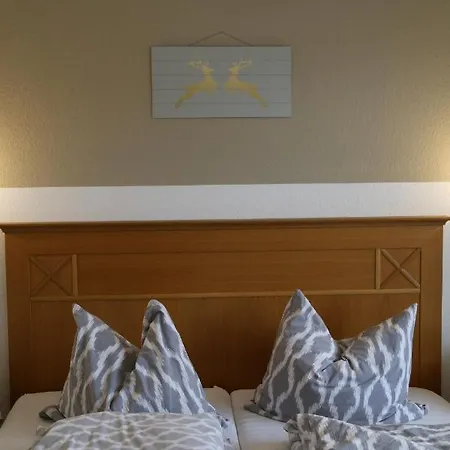 Apartment Goldener Hahn *