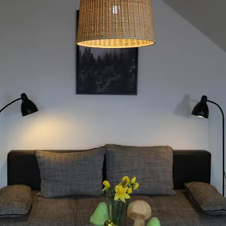 Goldener Hahn Apartment *