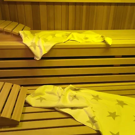 Goldener Hahn Mit Infrarot Sauna, Panorama Aussicht & Pool, Fruehstuecksservice Im Apartment Baiersbronn