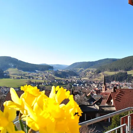 Goldener Hahn Mit Infrarot Sauna, Panorama Aussicht & Pool, Fruehstuecksservice Im Apartment Baiersbronn