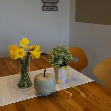 Apartment Goldener Hahn Baiersbronn