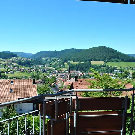 Goldener Hahn Mit Infrarot Sauna, Panorama Aussicht&pool, Frühstücksservice Im